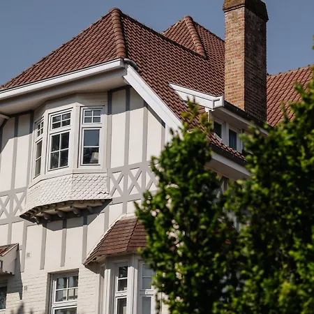 Stille Rust V Modern In 데한